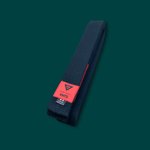 PREMIUM COTTON BELT 2022 - view 6
