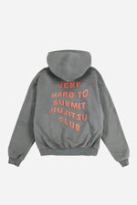 "VHTS JJC" OVERSIZED HOODIE - GRAY / TAN